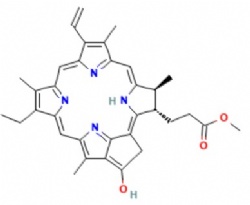 Pyropheophorbide a methyl ester