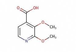 2,3-dimethoxypyridine-4-carboxylic acid