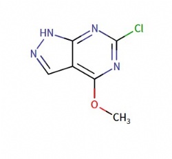6-chloro-4-methoxy-1H-pyrazolo[3,4-d]pyrimidine