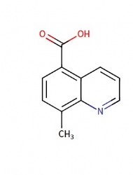 8-methylquinoline-5-carboxylic acid