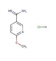 6-methoxynicotinimidamide hydrochloride
