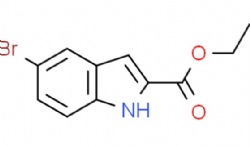 Ethyl 5-Bromoindole-2-carboxylate