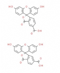 3',6'-dihydroxy-3-oxospiro(isobenzofuran-1(3H),9'-(9H)xanthene)-ar-carboxylic acid