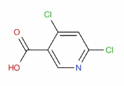 4,6-dichloronicotinic acid