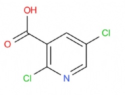 2,5-dichloronicotinic acid