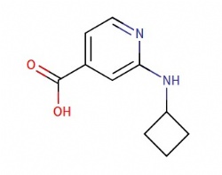 2-(cyclobutylamino)isonicotinic acid