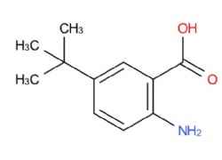 2-amino-5-(tert-butyl)benzoic acid