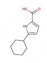 5-cyclohexyl-1H-pyrrole-2-carboxylic acid