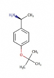 (S)-1-(4-(tert-butoxy)phenyl)ethan-1-amine