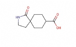 1-oxo-2-azaspiro[4.5]decane-8-carboxylic acid