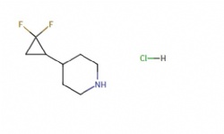 4-(2,2-difluorocyclopropyl)piperidine hydrochloride