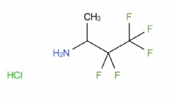 3,3,4,4,4-pentafluorobutan-2-amine hydrochloride