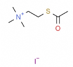 Acetylthiocholine iodide