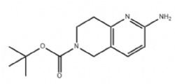 tert-Butyl 2-Amino-7,8-dihydro-1,6-naphthyridine-6(5H)-carboxylate
