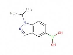 (1-isopropyl-1H-indazol-5-yl)boronic acid