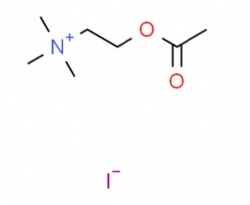 Acetylcholine Iodide