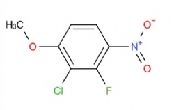 2-chloro-3-fluoro-1-methoxy-4-nitrobenzene
