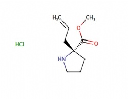 methyl (2R)-2-allylpyrrolidine-2-carboxylate hydrochloride