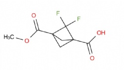 2,2-Difluoro-3-(methoxycarbonyl)bicyclo(1.1.1)pentane-1-carboxylic acid