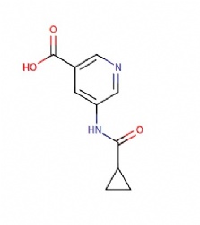 5-(cyclopropanecarboxamido)nicotinic acid