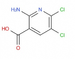 2-amino-5,6-dichloropyridine-3-carboxylic acid