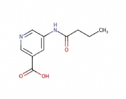 5-butyramidonicotinic acid