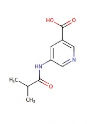 5-isobutyramidonicotinic acid
