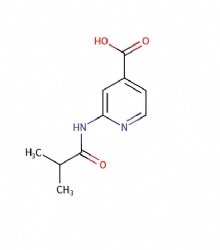 2-isobutyramidoisonicotinic acid