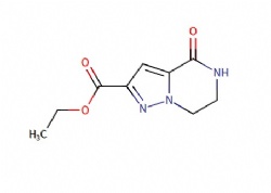 Ethyl 4-oxo-4,5,6,7-tetrahydropyrazolo(1,5-a)pyrazine-2-carboxylate
