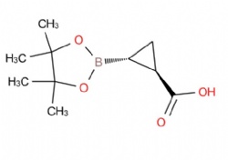 rac-(1R,2R)-2-(4,4,5,5-tetramethyl-1,3,2-dioxaborolan-2-yl)cyclopropane-1-carboxylic acid