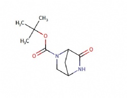 Tert-butyl 6-oxo-2,5-diazabicyclo[2.2.1]heptane-2-carboxylate