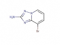 8-bromo-[1,2,4]triazolo[1,5-a]pyridin-2-amine