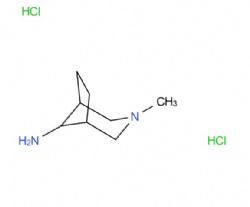 3-Methyl-3-azabicyclo[3.2.1]octan-8-amine dihydrochloride