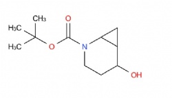 tert-Butyl 5-hydroxy-2-azabicyclo[4.1.0]heptane-2-carboxylate