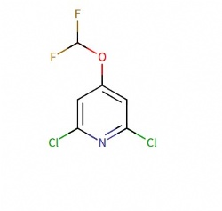 2,6-dichloro-4-(difluoromethoxy)pyridine