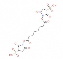 Bis(sulfosuccinimidyl) suberate