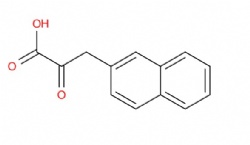 3-(naphthalen-2-yl)-2-oxopropanoic acid