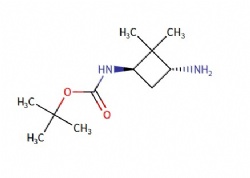 trans-3-(Boc-amino)-2,2-dimethylcyclobutylamine