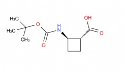 rel-(1R,2R)-2-[[(1,1-Dimethylethoxy)carbonyl]amino]cyclobutanecarboxylic acid