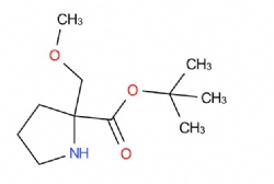 Tert-butyl 2-(methoxymethyl)pyrrolidine-2-carboxylate