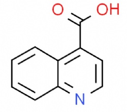 4-Quinolinecarboxylic acid