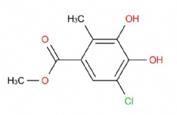 methyl 5-chloro-3,4-dihydroxy-2-methylbenzoate