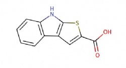8H-thieno[2,3-b]indole-2-carboxylic acid