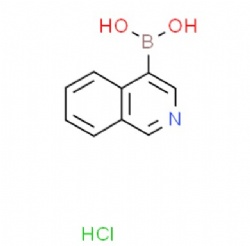 Isoquinoline-4-boronic acid hydrochloride