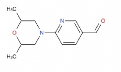 6-(2,6-dimethylmorpholino)nicotinaldehyde