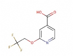 2-(2,2,2-trifluoroethoxy)isonicotinic acid