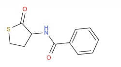 N-(2-oxotetrahydrothiophen-3-yl)benzamide