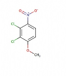 2,3-dichloro-1-methoxy-4-nitrobenzene