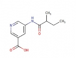 5-(2-methylbutanamido)nicotinic acid