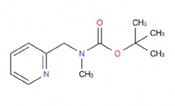 tert-butyl methyl(pyridin-2-ylmethyl)carbamate